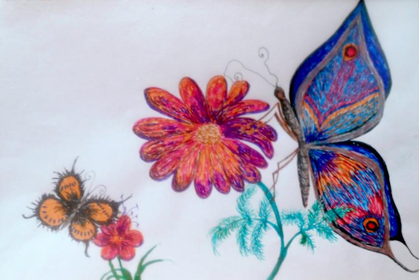 Butterflies by Dreamcatcher7