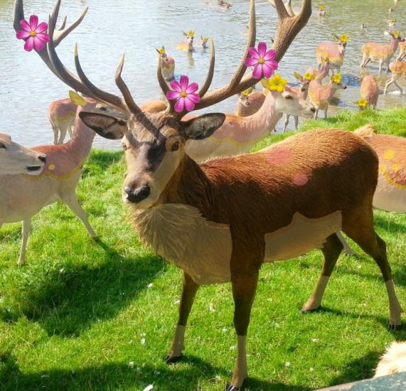 Pokemon in real life: Sawsbuck and Deerling