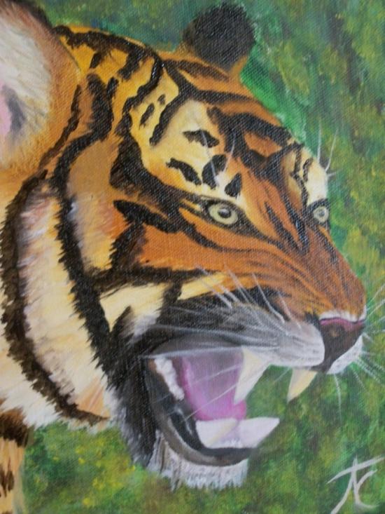Tiger by terrycurley