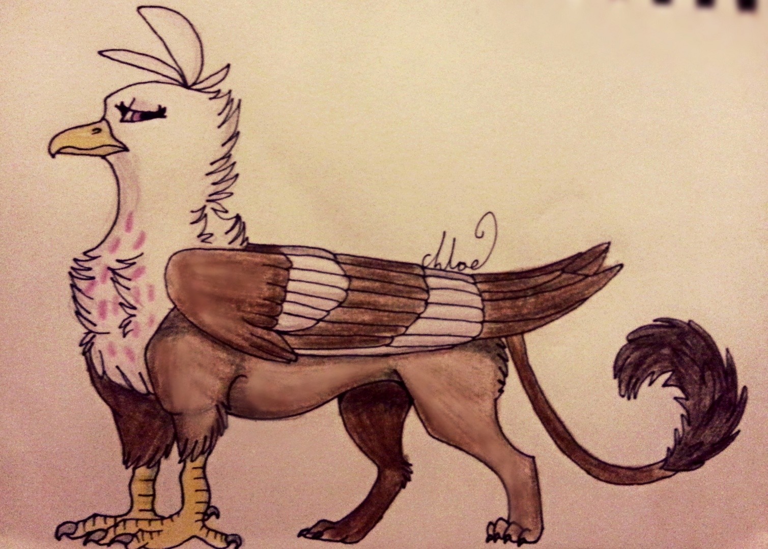 Griffin