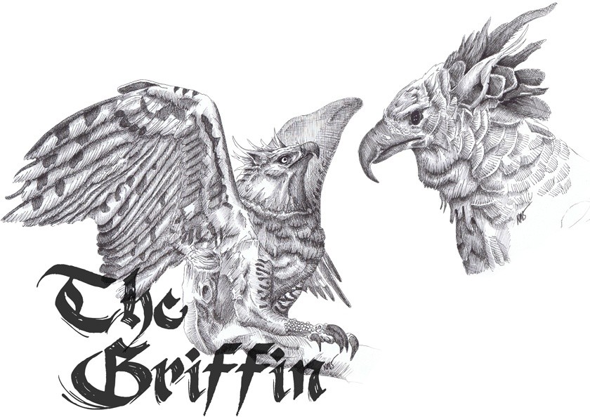 The-Griffin