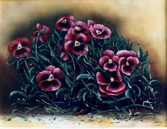 Viole