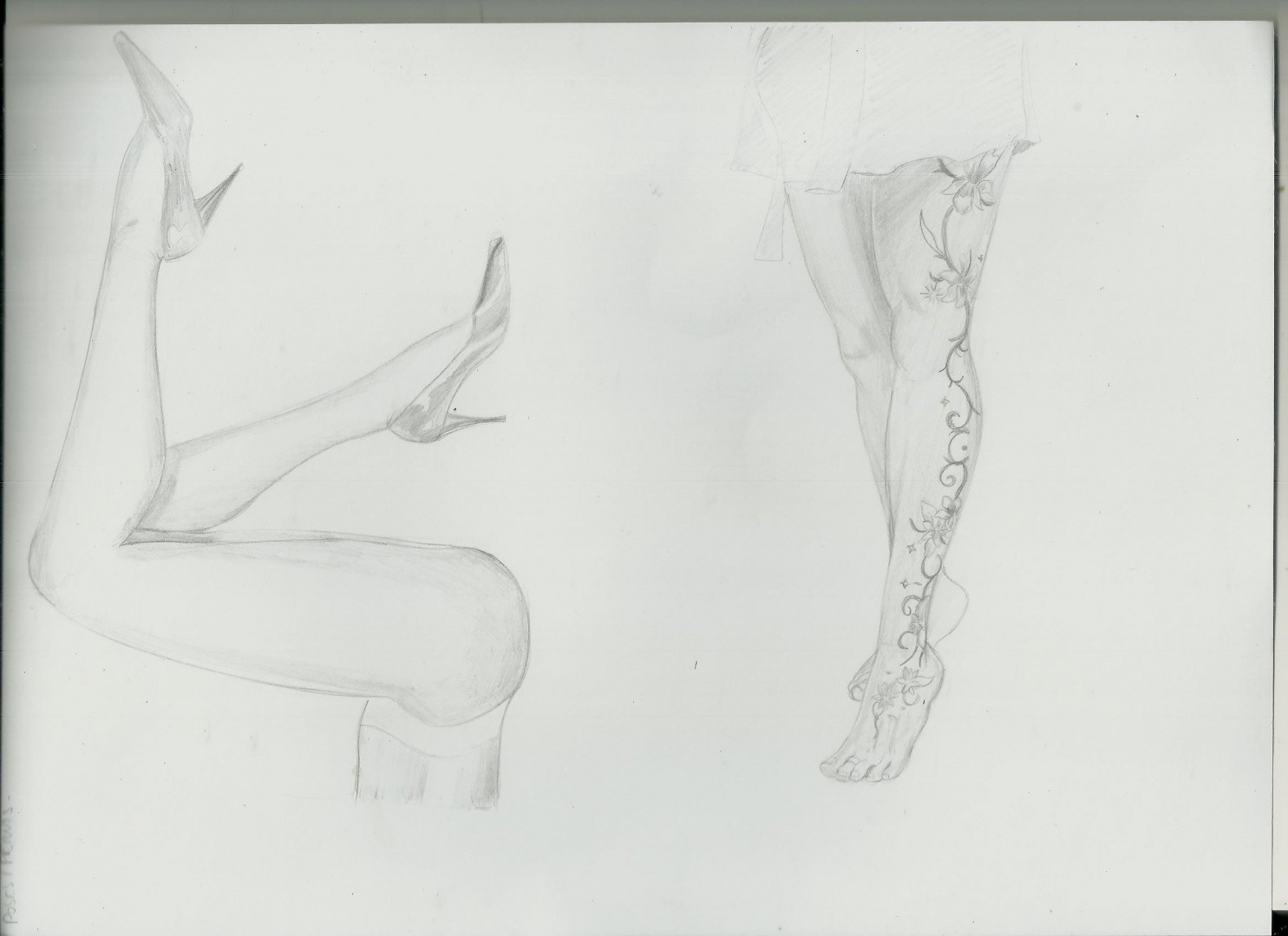 Anatomy-test-4