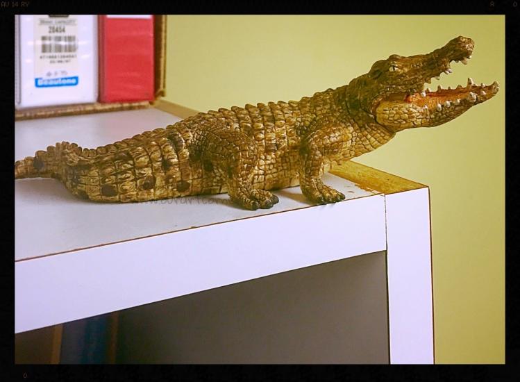 There's a crocodile on my cupboard