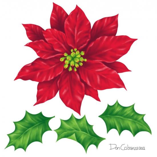 Poinsettia Flower 2 by Don Art
