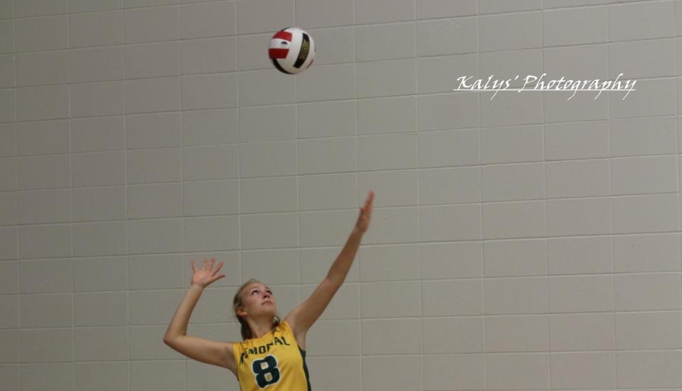 Volley Ball by Joseph kalys