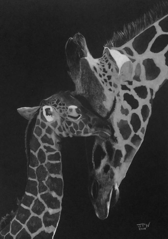 Mother Giraffe and calf by JPW Artist