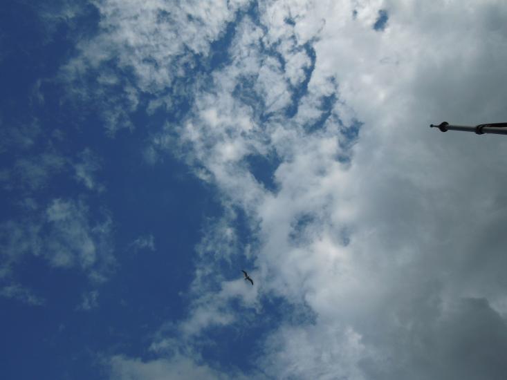 up there....