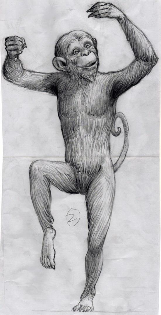 Monkey in Action 2 by Don Art