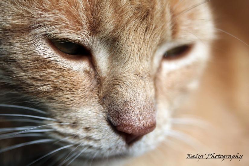 Marly's Relaxed. by Joseph kalys
