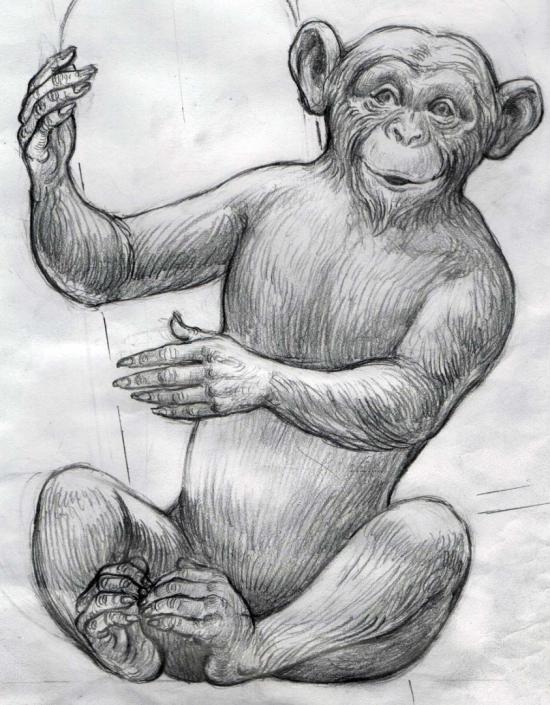 Sitting Monkey 1 by Don Art