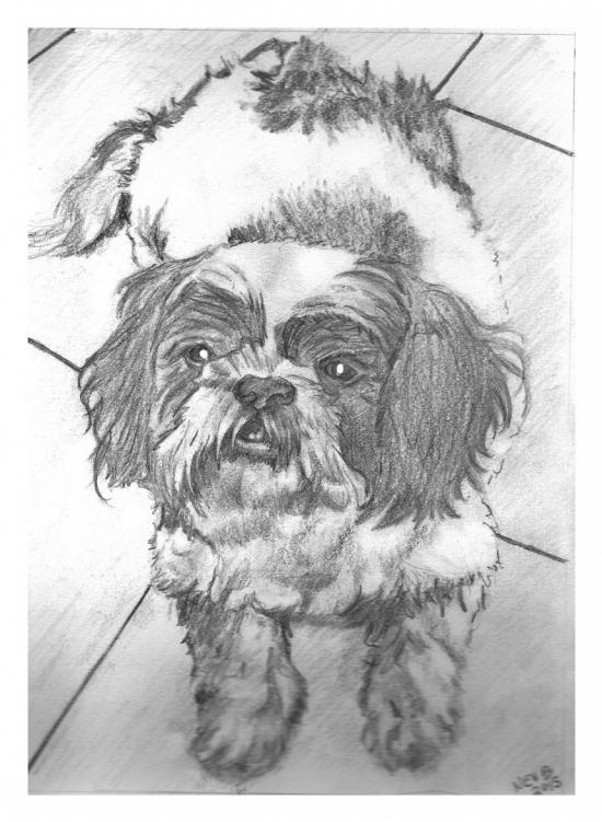I'm a cutie by pencil recreations