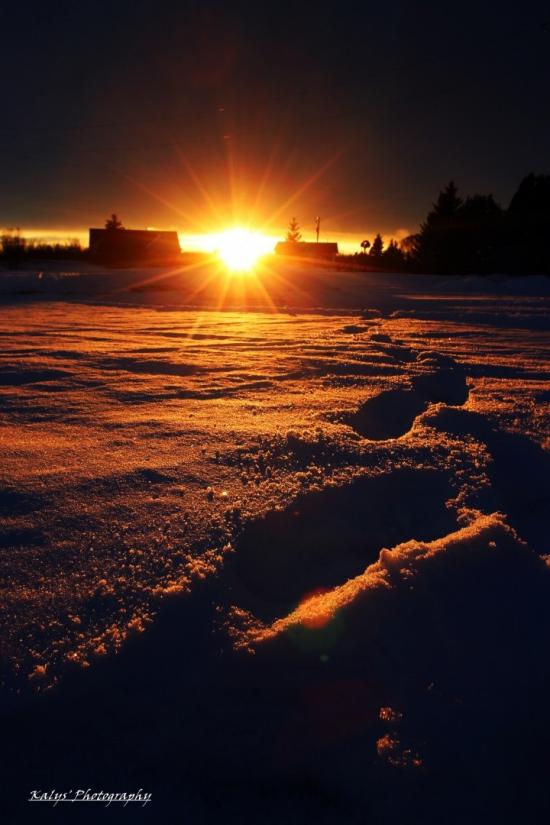 Settling Sun by Joseph kalys