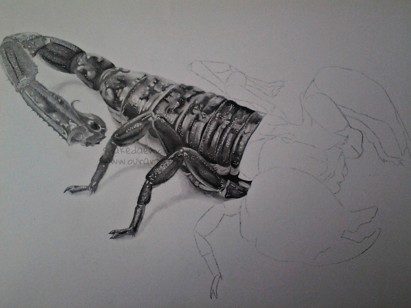 imperial-scorpion-wip-3