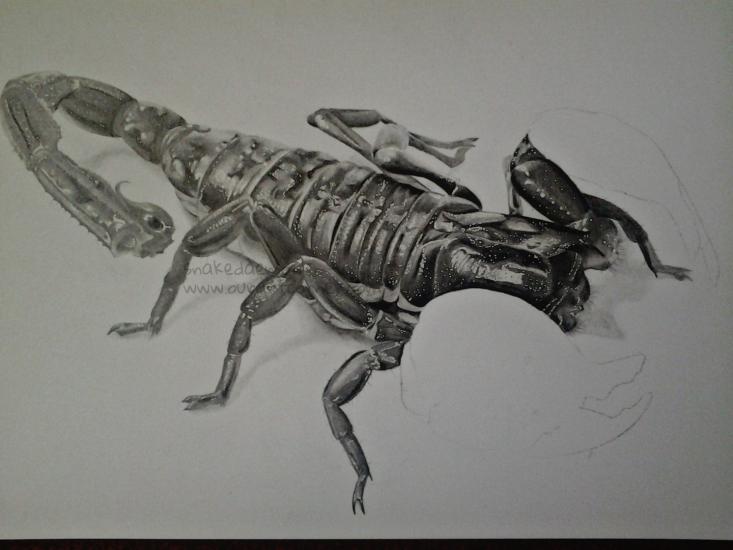 imperial scorpion w.i.p 4