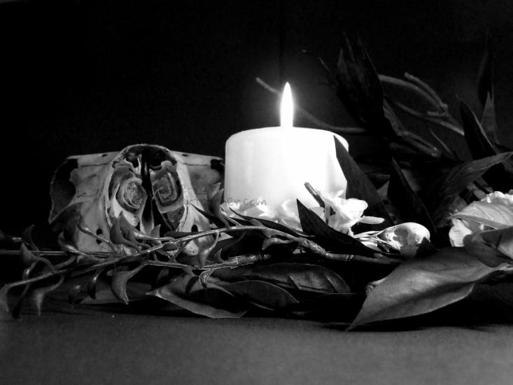 Still Life by Eternal Art