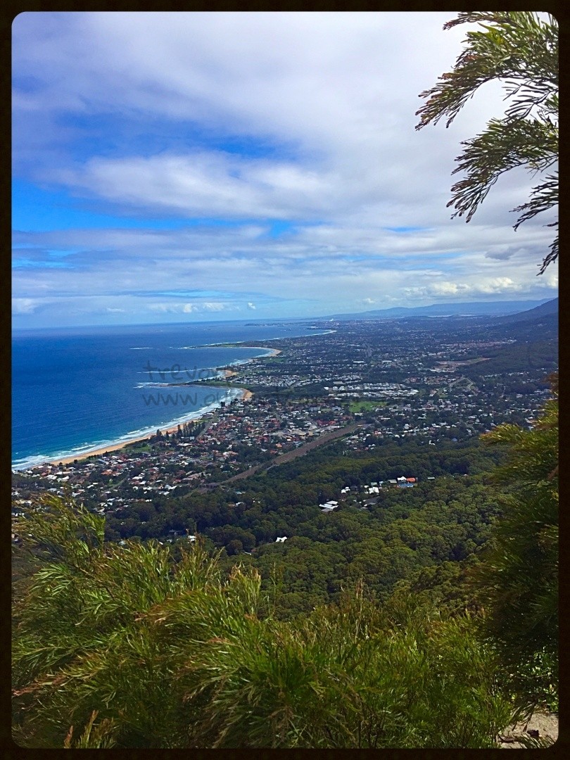 SUBLIME-POINT-BULLI-TOPS