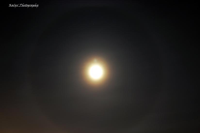Ring Fills by Joseph kalys