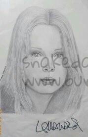 lalla-ward-signed-drawing