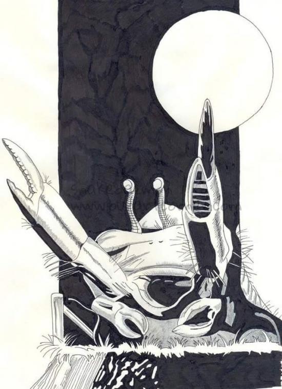 macra terror (reupload)