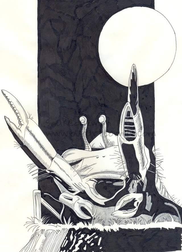 macra-terror-reupload