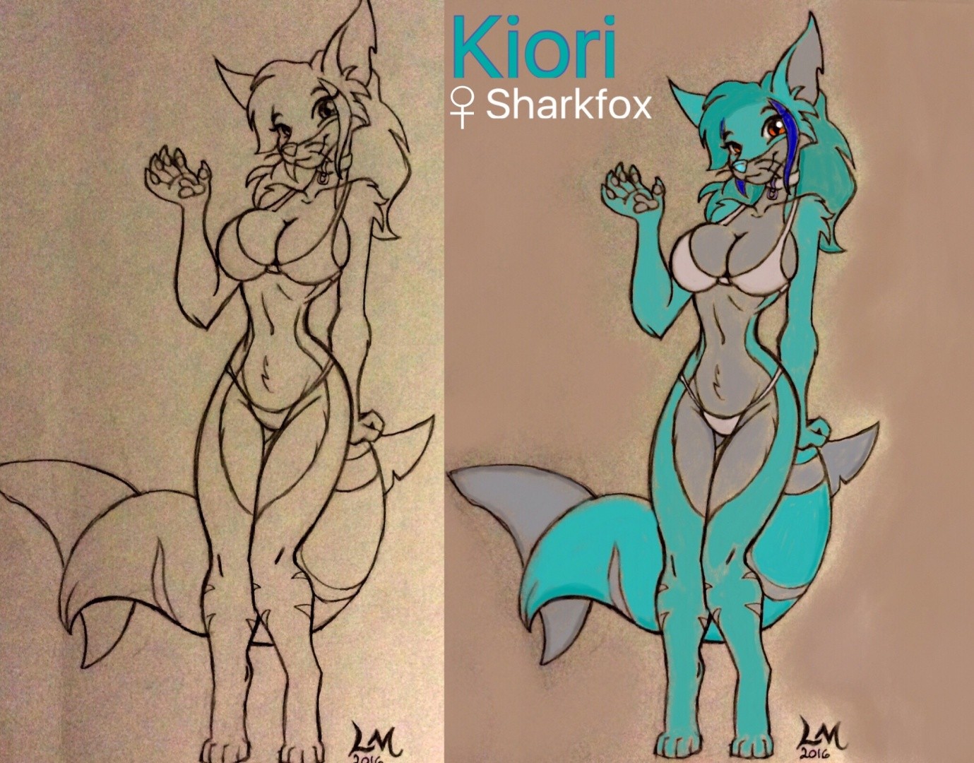 Fox-shark-Kiori