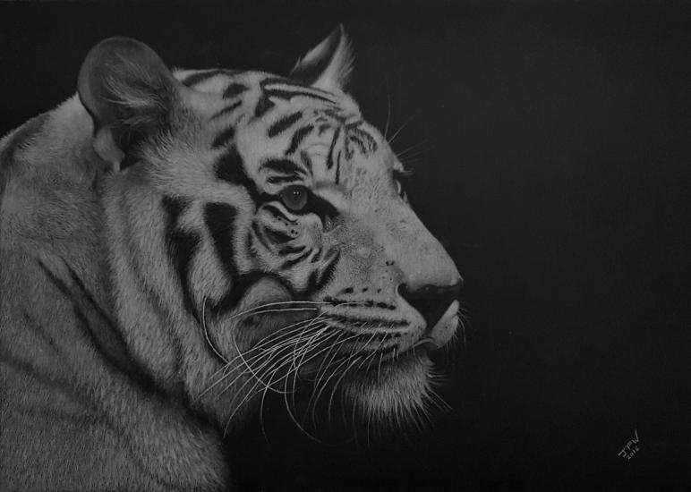 Tiger in white by JPW Artist