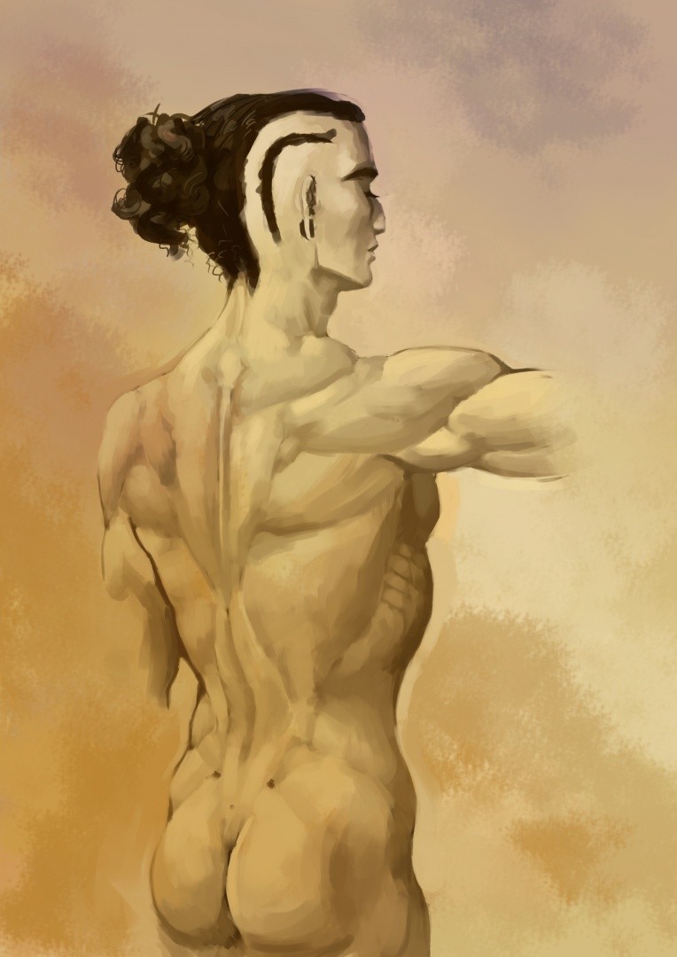 Muscle-study