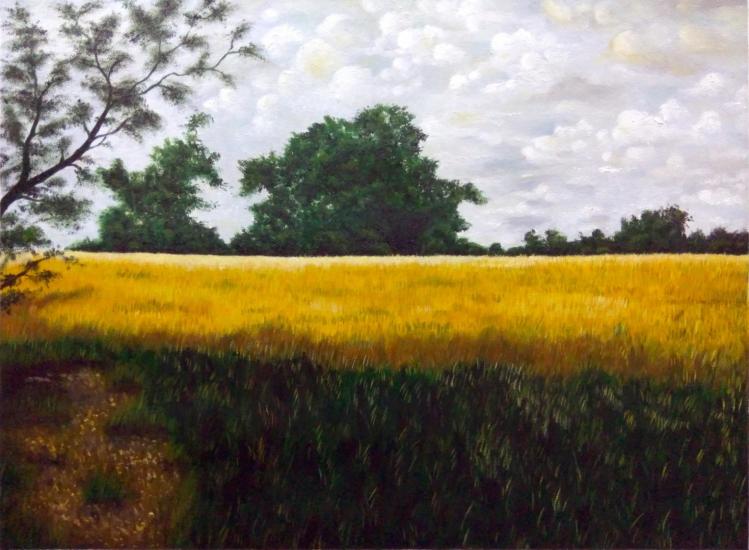 Grass Field by Don Art