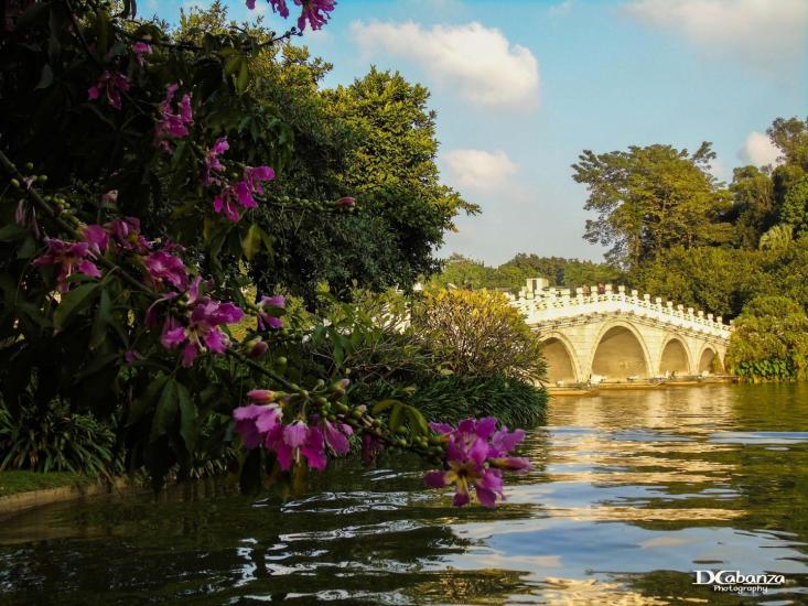 Dong Hu Park Jiangmen China by Don Art