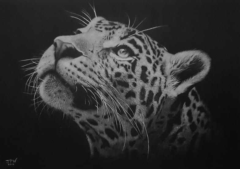 Jaguar by JPW Artist