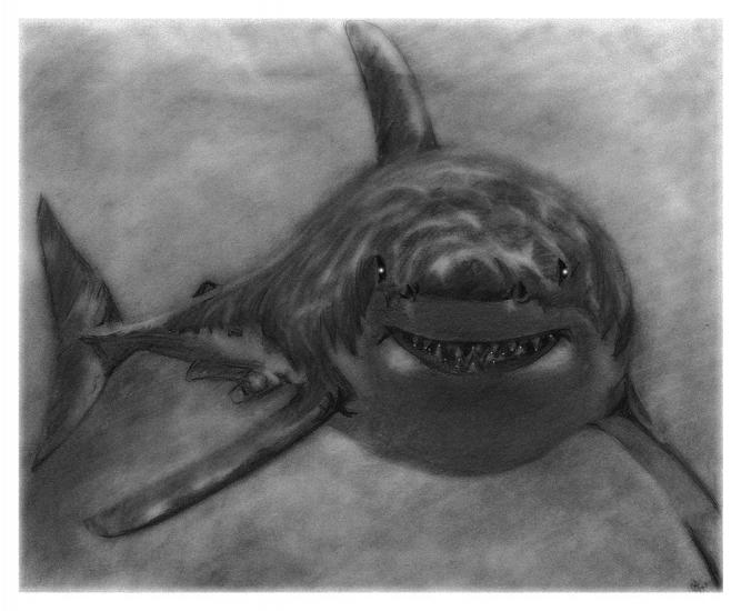 The Shark by pencil recreations