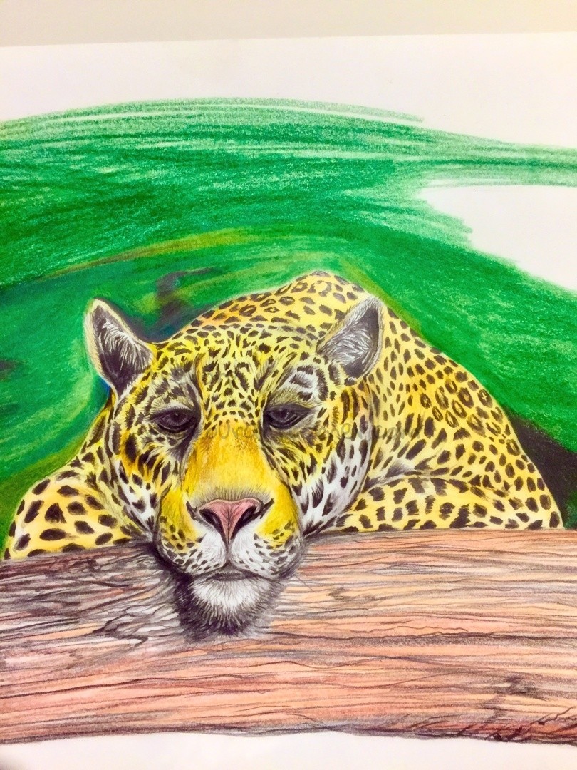 WIP-JAGUAR