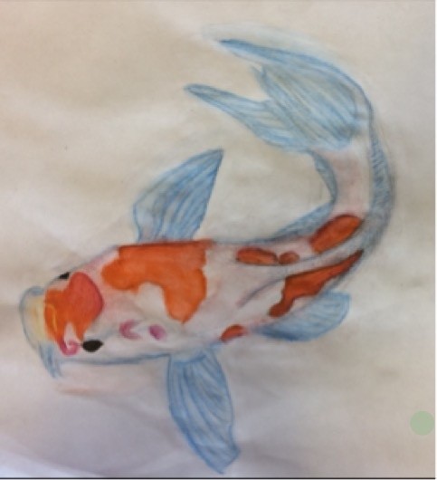 Koi-Fish