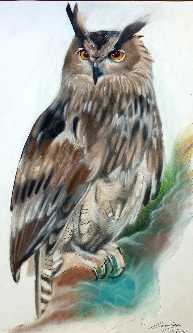 Eagle-Owl