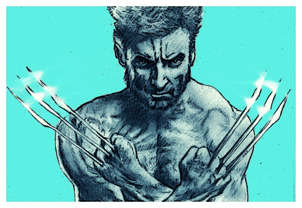 wolverine