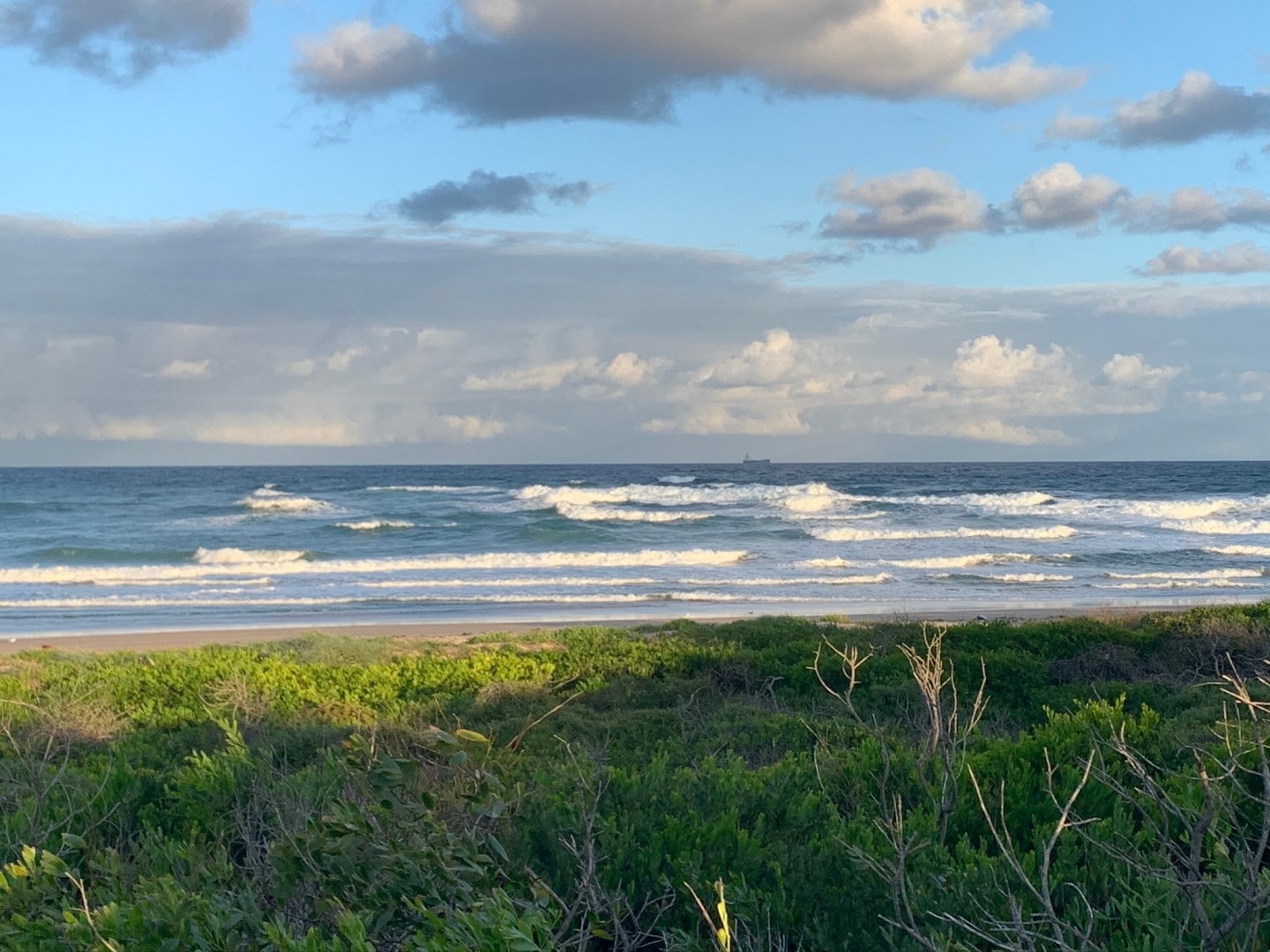 CORRIMAL-BEACH