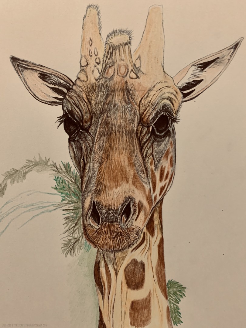 GIRAFFE-WIP