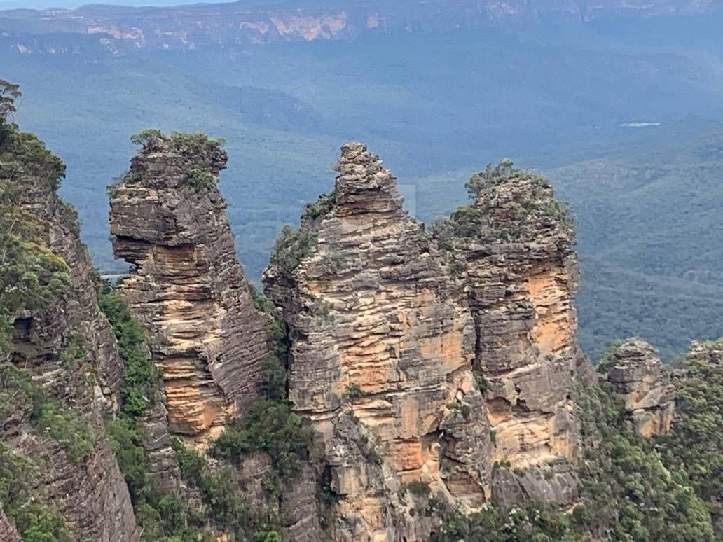 THREE-SISTERS