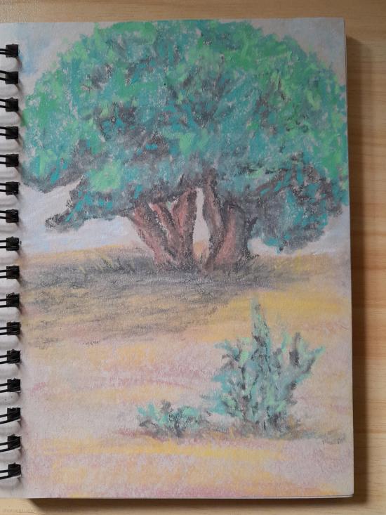 Tree Scene