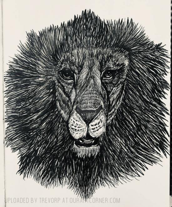 Ink Pen Lion