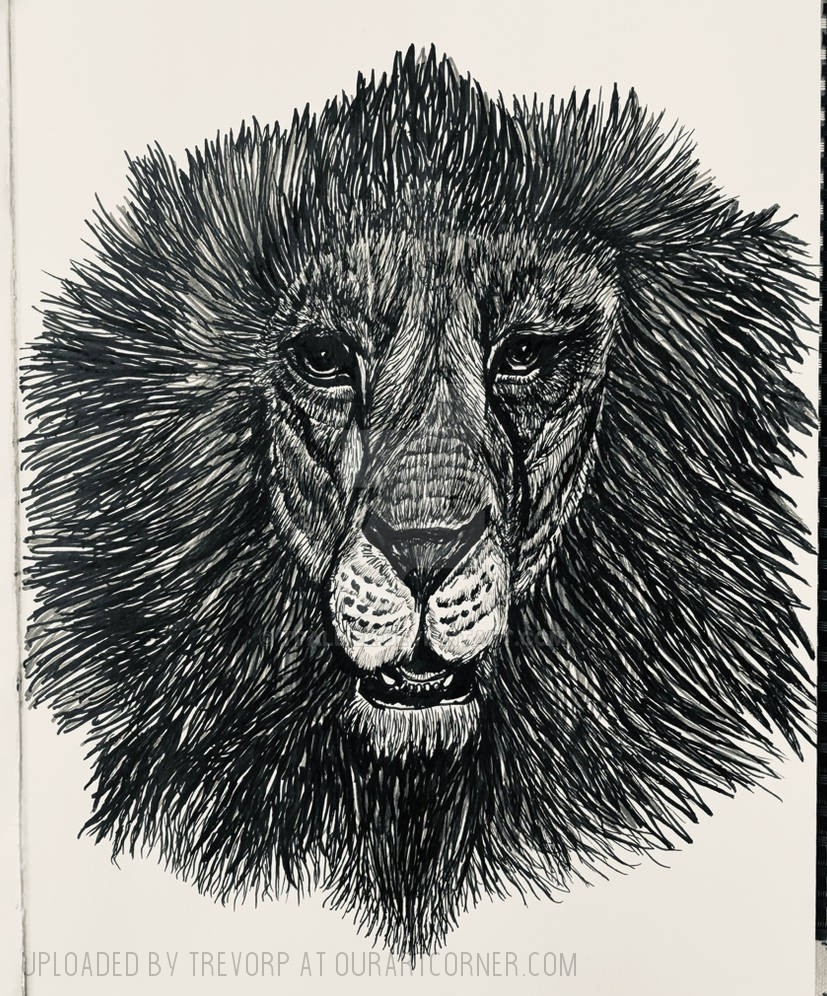 Ink-Pen-Lion