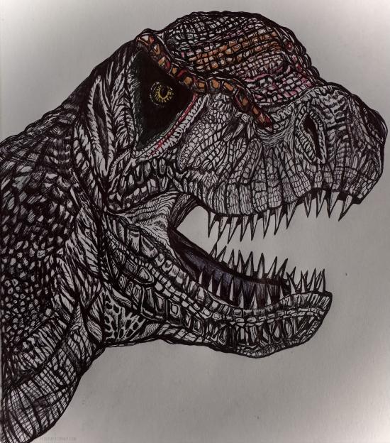 HERES REXY
