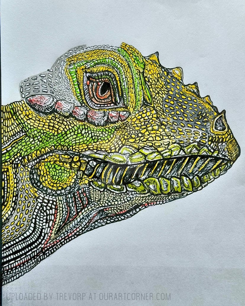 Ink-Pen-Iguana-WIP
