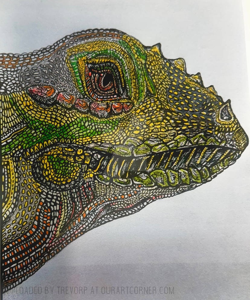 Ink-Pen-IGUANA
