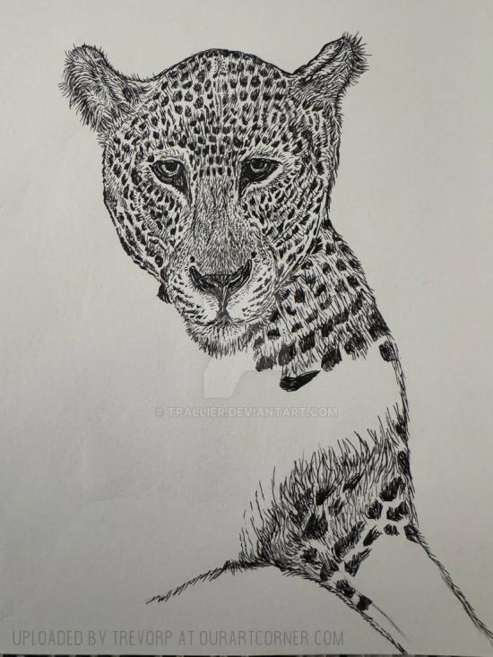 WIP - LEOPARD