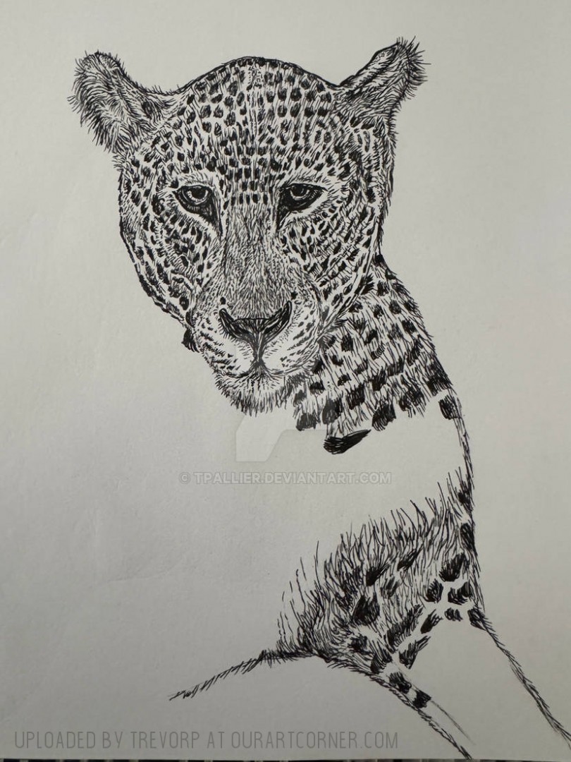 WIP-LEOPARD
