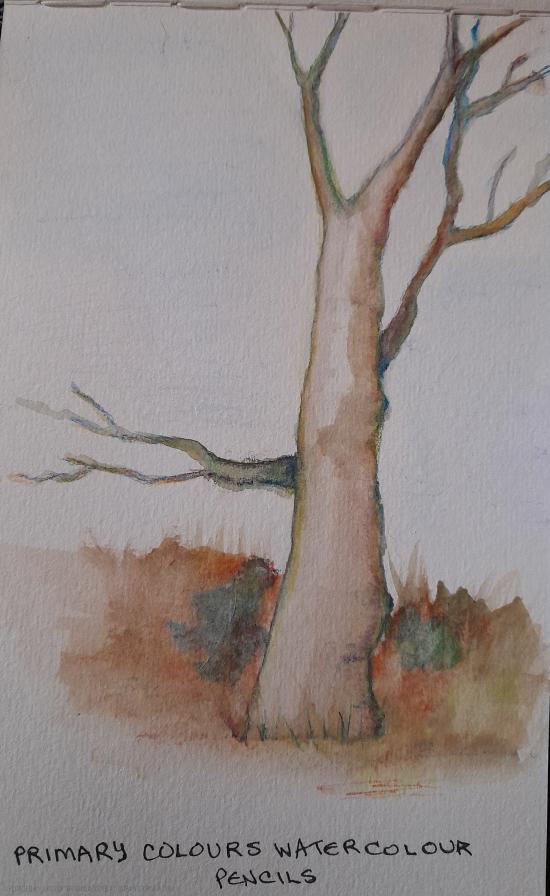 Tree In Primary Colours