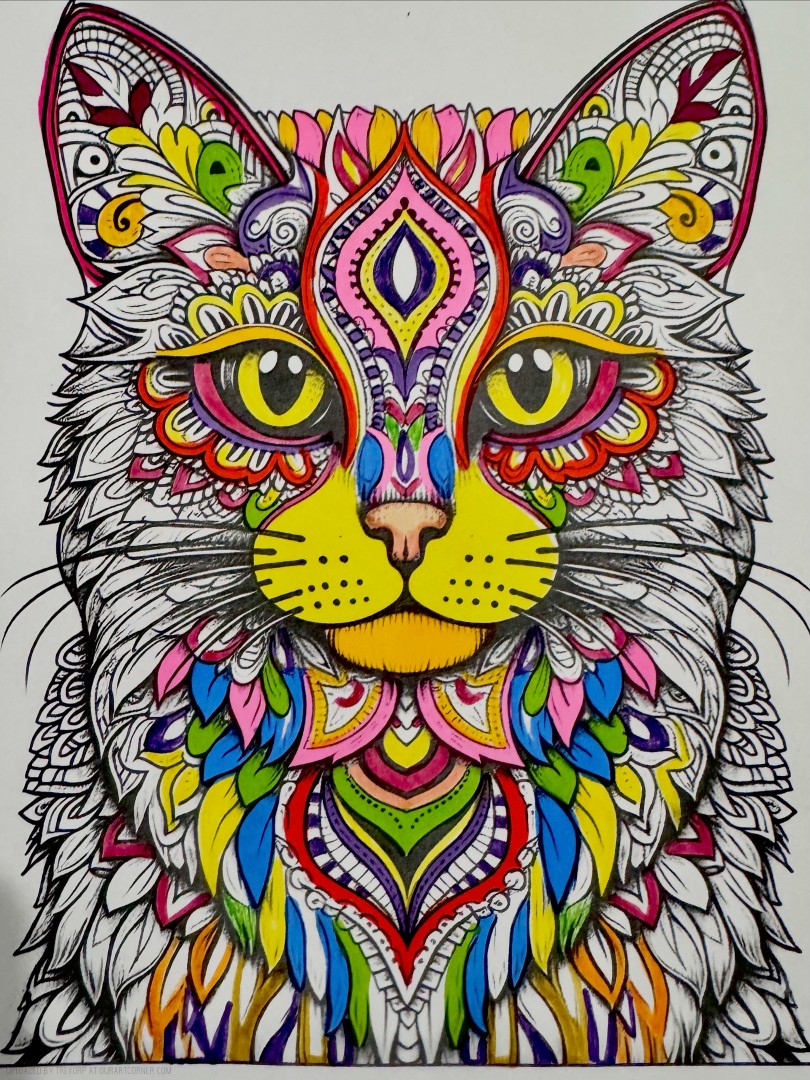 Colourful-Cat
