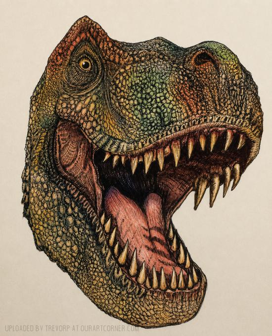 Enhanced TREX drawing